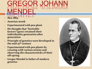  1822-1884
 Austrian monk
 Experimented with pea plant
 He thought that “heritable
factors”(gene) retained their
individuality generation after
generation
 Principle of genetics were developed in
the mid 19th century
 Experimented with pea plants by
crossing with various strains and
observing the charactersticks of their
off-spring
 Gregor Mendel is father of modern
genetics
 