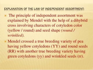 Mendel law