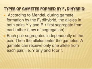 Mendel law
