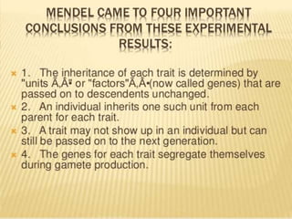 Mendel law