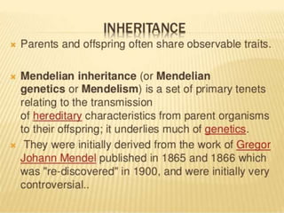 Mendel law