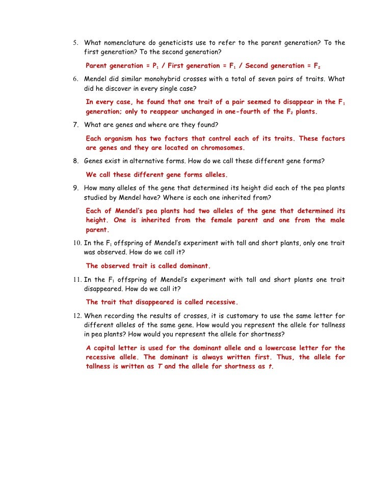 Mendel And Basic Genetics Packet Ws Answers 32 Genetics Webquest Mendel And Basic Genetics Packet Ws Answers 32 Genetics Webquest