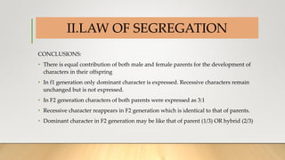 INTRODUCTION
CONCLUSIONS:
• There is equal contribution of both male and female parents for the development of
characters in their offspring
• In f1 generation only dominant character is expressed. Recessive characters remain
unchanged but is not expressed.
• In F2 generation characters of both parents were expressed as 3:1
• Recessive character reappears in F2 generation which is identical to that of parents.
• Dominant character in F2 generation may be like that of parent (1/3) OR hybrid (2/3)
II.LAW OF SEGREGATION
 