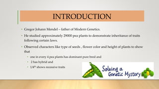 INTRODUCTION
• Gregor Johann Mendel – father of Modern Genetics.
• He studied approximately 29000 pea plants to demonstrate inheritance of traits
following certain laws.
• Observed characters like type of seeds , flower color and height of plants to show
that
• one in every 4 pea plants has dominant pure bred and
• 2 has hybrid and
• 1/4th shows recessive traits
 