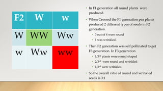 F2 W w
W WW Ww
w Ww ww
• In F1 generation all round plants were
produced.
• When Crossed the F1 generation pea plants
produced 2 different types of seeds in F2
generation.
• 3 out of 4 were round
• 1 was wrinkled.
• Then F2 generation was self pollinated to get
F3 generation. In F3 generation
• 1/3rd plants were round shaped
• 2/3rd were round and wrinkled
• 1/3rd were wrinkled
• So the overall ratio of round and wrinkled
seeds is 3:1
 