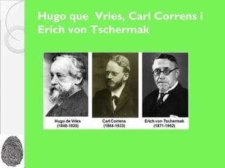 Hugo que Vries, Carl Correns i
Erich von Tschermak
 