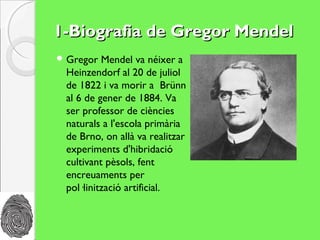 1-Biografia de Gregor Mendel
 Gregor  Mendel va néixer a
 Heinzendorf al 20 de juliol
 de 1822 i va morir a Brünn
 al 6 de gener de 1884. Va
 ser professor de ciències
 naturals a l'escola primària
 de Brno, on allà va realitzar
 experiments d'hibridació
 cultivant pèsols, fent
 encreuaments per
 pol·linització artificial.
 