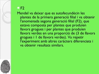 F2
Mendel va deixar que es autofecundècin les
 plantes de la primera generació filial i va obtenir
 l'anomenada segona generació filial (F2), que
 estava composta per plantes que produïen
 llavors grogues i per plantes que produïen
 llavors verdes en una proporció de (3 de llavors
 grogues i 1 de llavors verdes). Va repetir
 l'experiment amb altres caràcters diferenciats i
 va obtenir resultats similars.
 