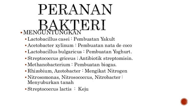 Mendeskribsikan Ciri Ciri Archaebacteria Dan Eubacteria Serta Peranan