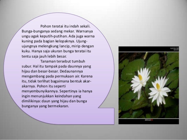 Mendeskripsikan Gambar
