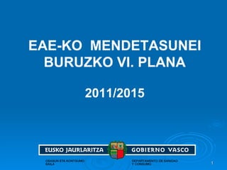 EAE-KO  MENDETASUNEI BURUZKO VI. PLANA   2011/2015 