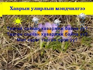 Хаврын улирлын мэндчилгээ



Тавтай сайхан хаваржиж байна уу?
Тарган сайхан хаваржиж байна уу?
    Мал сүрэг тарган оров уу?
 