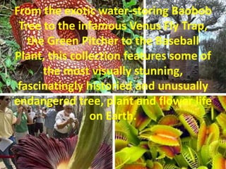 From the exotic water-storing Baobob
Tree to the infamous Venus Fly Trap,
the Green Pitcher to the Baseball
Plant, this collection features some of
the most visually stunning,
fascinatingly historied and unusually
endangered tree, plant and flower life
on Earth.
 