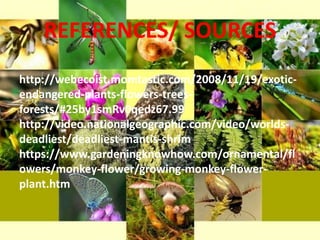 REFERENCES/ SOURCES
http://webecoist.momtastic.com/2008/11/19/exotic-
endangered-plants-flowers-trees-
forests/#25by1smRv0qedz67.99
http://video.nationalgeographic.com/video/worlds-
deadliest/deadliest-mantis-shrim
https://www.gardeningknowhow.com/ornamental/fl
owers/monkey-flower/growing-monkey-flower-
plant.htm
 