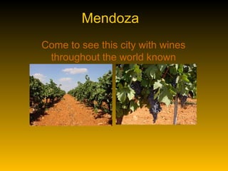 Mendoza Come to see this city with wines throughout the world known 
