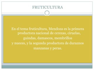 FRUTICULTURA
En el tema fruticultura, Mendoza es la primera
productora nacional de cerezas, ciruelas,
guindas, damascos, membrillos
y nueces, y la segunda productora de duraznos
manzanas y peras.