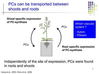 PCs can be transported between
        shoots and roots

      Shoot specific expression
      of PC-synthase
                                                Which vascular
                                       PCs      system ?
                                                - Xylem
                                                - Phloem


                          PCs
                                       Root specific expression
                                       of PC-synthase



   Independently of the site of expression, PCs were found
   in roots and shoots
                                                             9

Gong et al., 2003; Chen et al., 2006
 