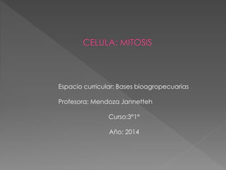 Espacio curricular: Bases bioagropecuarias
Profesora: Mendoza Jannetteh
Curso:3°1°
Año: 2014
 