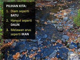 PILIHAN KITA:
1. Diam seperti
   BATU
2. Hanyut seperti
   DAUN
3. Melawan arus
   seperti IKAN
 