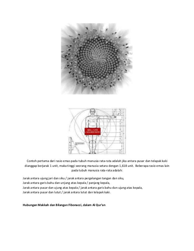 Bilangan fibonacci dalam forex