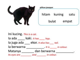 pilihan jawapan


                              hitam           kuning   satu
                                     bulat         empat


Ini kucing. This is a cat.
Ia ada ____ kaki. It has ____ legs.
Ia juga ada ___ ekor. It also has ___ tail.
Ia berwarna __________. It is _____ in colour.
Matanya _______ dan berwarna __________.
Its eyes are ________ and _______ in colour.
 