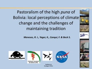 Pastoralism of the high puna of
Bolivia: local perceptions of climate
   change and the challenges of
        maintaining tradition
     Meneses, R. I., Yager, K., Canqui, F. & Beck S.




                           Instituto de
                         Ecología UMSA
 
