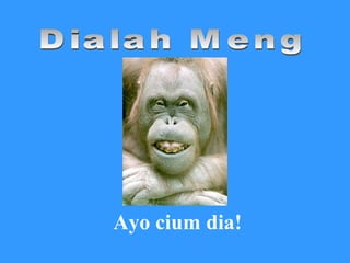 Dialah Meng Ayo cium dia! 
