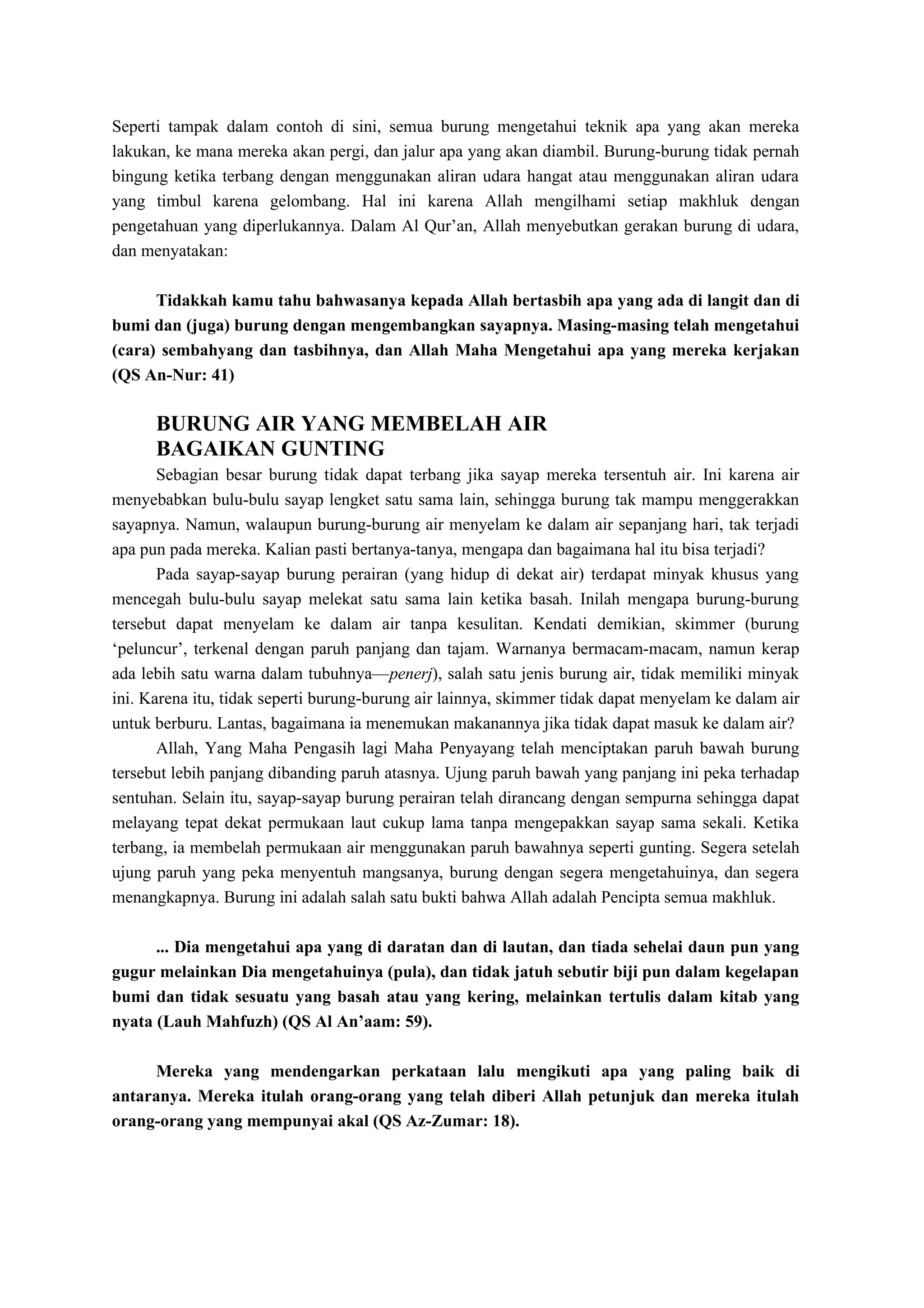 Makhluk-makhluk Yang Mengagumkan - HY