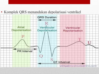 • Komplek QRS menandakan depolarisasi ventrikel
 