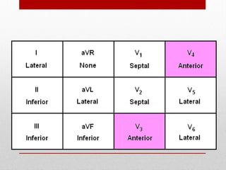 Anatomic Groups
(Anterior Wall)
 