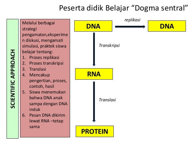 Mengapa aku (harus) belajar sains