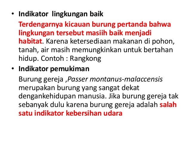 Mengapa Burung Ada Dimana Mana