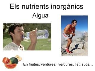 Els nutrients inorgànics 
Aigua 
En fruites, verdures, verdures, llet, sucs… 
 
