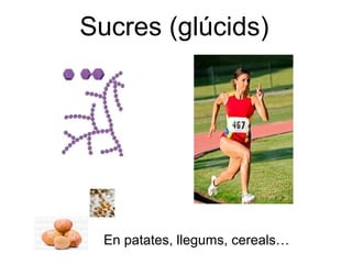 Sucres (glúcids) 
En patates, llegums, cereals… 
 