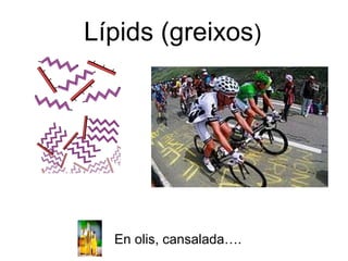 Lípids (greixos) 
En olis, cansalada…. 
 