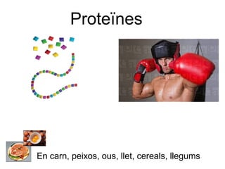 Proteïnes 
En carn, peixos, ous, llet, cereals, llegums 
 