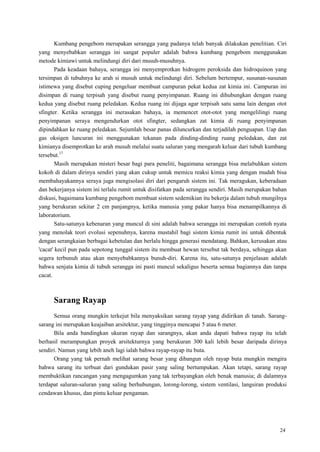 24
Kumbang pengebom merupakan serangga yang padanya telah banyak dilakukan penelitian. Ciri
yang menyebabkan serangga ini sangat populer adalah bahwa kumbang pengebom menggunakan
metode kimiawi untuk melindungi diri dari musuh-musuhnya.
Pada keadaan bahaya, serangga ini menyemprotkan hidrogem peroksida dan hidroquinon yang
tersimpan di tubuhnya ke arah si musuh untuk melindungi diri. Sebelum bertempur, susunan-susunan
istimewa yang disebut cuping pengeluar membuat campuran pekat kedua zat kimia ini. Campuran ini
disimpan di ruang terpisah yang disebut ruang penyimpanan. Ruang ini dihubungkan dengan ruang
kedua yang disebut ruang peledakan. Kedua ruang ini dijaga agar terpisah satu sama lain dengan otot
sfingter. Ketika serangga ini merasakan bahaya, ia memencet otot-otot yang mengelilingi ruang
penyimpanan seraya mengendurkan otot sfingter, sedangkan zat kimia di ruang penyimpanan
dipindahkan ke ruang peledakan. Sejumlah besar panas diluncurkan dan terjadilah penguapan. Uap dan
gas oksigen luncuran ini menggunakan tekanan pada dinding-dinding ruang peledakan, dan zat
kimianya disemprotkan ke arah musuh melalui suatu saluran yang mengarah keluar dari tubuh kumbang
tersebut.17
Masih merupakan misteri besar bagi para peneliti, bagaimana serangga bisa melabuhkan sistem
kokoh di dalam dirinya sendiri yang akan cukup untuk memicu reaksi kimia yang dengan mudah bisa
membahayakannya seraya juga mengisolasi diri dari pengaruh sistem ini. Tak meragukan, keberadaan
dan bekerjanya sistem ini terlalu rumit untuk disifatkan pada serangga sendiri. Masih merupakan bahan
diskusi, bagaimana kumbang pengebom membuat sistem sedemikian itu bekerja dalam tubuh mungilnya
yang berukuran sekitar 2 cm panjangnya, ketika manusia yang pakar hanya bisa menampilkannya di
laboratorium.
Satu-satunya kebenaran yang muncul di sini adalah bahwa serangga ini merupakan contoh nyata
yang menolak teori evolusi sepenuhnya, karena mustahil bagi sistem kimia rumit ini untuk dibentuk
dengan serangkaian berbagai kebetulan dan berlalu hingga generasi mendatang. Bahkan, kerusakan atau
'cacat' kecil pun pada sepotong tunggal sistem itu membuat hewan tersebut tak berdaya, sehingga akan
segera terbunuh atau akan menyebabkannya bunuh-diri. Karena itu, satu-satunya penjelasan adalah
bahwa senjata kimia di tubuh serangga ini pasti muncul sekaligus beserta semua bagiannya dan tanpa
cacat.
Sarang Rayap
Semua orang mungkin terkejut bila menyaksikan sarang rayap yang didirikan di tanah. Sarang-
sarang ini merupakan keajaiban arsitektur, yang tingginya mencapai 5 atau 6 meter.
Bila anda bandingkan ukuran rayap dan sarangnya, akan anda dapati bahwa rayap itu telah
berhasil merampungkan proyek arsitekturnya yang berukuran 300 kali lebih besar daripada dirinya
sendiri. Namun yang lebih aneh lagi ialah bahwa rayap-rayap itu buta.
Orang yang tak pernah melihat sarang besar yang dibangun oleh rayap buta mungkin mengira
bahwa sarang itu terbuat dari gundukan pasir yang saling bertumpukan. Akan tetapi, sarang rayap
membuktikan rancangan yang mengagumkan yang tak terbayangkan oleh benak manusia; di dalamnya
terdapat saluran-saluran yang saling berhubungan, lorong-lorong, sistem ventilasi, langsiran produksi
cendawan khusus, dan pintu keluar pengaman.
 