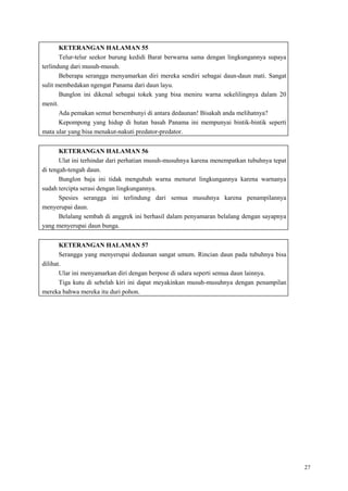 27
KETERANGAN HALAMAN 55
Telur-telur seekor burung kedidi Barat berwarna sama dengan lingkungannya supaya
terlindung dari musuh-musuh.
Beberapa serangga menyamarkan diri mereka sendiri sebagai daun-daun mati. Sangat
sulit membedakan ngengat Panama dari daun layu.
Bunglon ini dikenal sebagai tokek yang bisa meniru warna sekelilingnya dalam 20
menit.
Ada pemakan semut bersembunyi di antara dedaunan! Bisakah anda melihatnya?
Kepompong yang hidup di hutan basah Panama ini mempunyai bintik-bintik seperti
mata ular yang bisa menakut-nakuti predator-predator.
KETERANGAN HALAMAN 56
Ulat ini terhindar dari perhatian musuh-musuhnya karena menempatkan tubuhnya tepat
di tengah-tengah daun.
Bunglon baja ini tidak mengubah warna menurut lingkungannya karena warnanya
sudah tercipta serasi dengan lingkungannya.
Spesies serangga ini terlindung dari semua musuhnya karena penampilannya
menyerupai daun.
Belalang sembah di anggrek ini berhasil dalam penyamaran belalang dengan sayapnya
yang menyerupai daun bunga.
KETERANGAN HALAMAN 57
Serangga yang menyerupai dedaunan sangat umum. Rincian daun pada tubuhnya bisa
dilihat.
Ular ini menyamarkan diri dengan berpose di udara seperti semua daun lainnya.
Tiga kutu di sebelah kiri ini dapat meyakinkan musuh-musuhnya dengan penampilan
mereka bahwa mereka itu duri pohon.
 