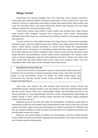 29
Bunga Teratai
Bunga-bunga kecil biasanya dianggap biasa oleh orang-orang, meski sempurna sepenuhnya.
Orang-orang tidak mencerap keajaiban penciptaan bunga-bunga ini karena terlihat ada di mana-mana
setiap hari. Karena itu, bunga-bunga yang tumbuh di tempat yang sangat berbeda, dalam keadaan yang
sangat lain, dan dalam ukuran yang sangat berbeda akan ditaksir tanpa 'kacamata biasa' dan dengan
demikian membantu kita mencerap keberadaan Allah.
Teratai-teratai Amazon yang tumbuh di lumpur lengket yang menutupi dasar Sungai Amazon
cukup menarik untuk mengganti 'kacamata biasa' orang-orang, karena mereka melangsungkan
kehidupan mereka tidak dengan cara yang biasanya kita saksikan setiap hari, tetapi dengan perjuangan
yang sangat lain.
Tanaman-tanaman ini mulai tumbuh di lumpur dasar Sungai Amazon, dan kemudian menjangkau
permukaan sungai. Tujuannya adalah mencapai sinar matahari yang sangat penting untuk keberadaan
mereka. Tatkala akhirnya mencapai permukaan air, mereka berhenti tumbuh dan mengembangkan
pucuk bundar berduri. Pucuk-pucuk ini berkembang menjadi daun-daun raksasa dengan jangkauan 2
meter dalam beberapa jam. Dengan 'mengetahui' bahwa semakin banyak menutupi permukaan sungai
dengan daun-daun yang berhamparan, semakin mampu mereka memanfaatkan sinar matahari, teratai-
teratai ini banyak menggunakan siang hari untuk melakukan fotosintesis. Mereka 'tahu' bahwa kalau
tidak, mereka tidak akan dapat bertahan hidup di dasar sungai karena langkanya cahaya. Tentu saja,
menjalankan taktik 'cerdik' seperti ini jelas merupakan ilham bagi tanaman.
KETERANGAN HALAMAN 60
Teratai-teratai hanya bisa memanfaatkan siang hari setelah mereka membuat jalan dari
kedalaman rawa ke permukaan air dengan memanjang setinggi 2 meter. Akan tetapi, akar-akar
bunga ini juga membutuhkan oksigen. Di gambar kiri adalah tangkai-tangkai yang
bermunculan dari akar-akar tanaman tersebut menuju permukaan air dan membawakan
oksigen untuk akar-akar ini.
Akan tetapi, sinar matahari saja tidak memadai bagi terata-teratai Amazon. Mereka juga
membutuhkan oksigen. Sekalipun demikian, tentu saja oksigen ini tidak ada di tanah berlumpur tempat
akar-akar mereka. Karena inilah teratai membentangkan tangkai yang berkembang dari akar ke atas
menuju permukaan air yang mengambangkan daun-daun mereka. Kadang-kadang tangkai-tangkai ini
tumbuh setinggi 11 meter; mereka berkaitan dengan daun-daun dan berfungsi sebagai pengangkut
oksigen antara daun dan akar.21
Bagaimana pucuk itu bisa tahu pada tahap awal kehidupannya di kedalaman sungai bahwa ia
membutuhkan oksigen dan sinar matahari untuk mempertahankan hidup, bahwa ia tidak akan bisa hidup
tanpanya, dan bahwa segala sesuatu yang dibutuhkannya ini terdapat di permukaan air? Makhluk yang
baru saja mengenal kehidupan ini tidak menyadari kenyataan bahwa air ini mempunyai permukaan atau
pun keberadaan matahari dan oksigen.
Karena itu, jika seluruh kejadian ini ditaksir dari sudut pandang evolusionis, tumbuh-tumbuhan
ini pasti sudah lama takluk oleh keadaan lingkungan dan menjadi punah. Akan tetapi, teratai masih ada
saat ini dengan segala kesempurnaannya.
 