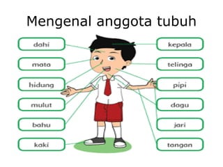 Mengenal anggota tubuh | PDF