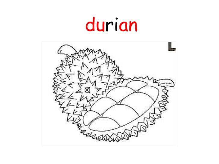 88 Gambar Lukisan Durian Paling Keren Gambar Pixabay