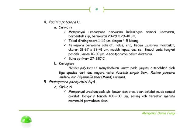 Image Result For Kerugian Jamur Image Result For Kerugian Jamur