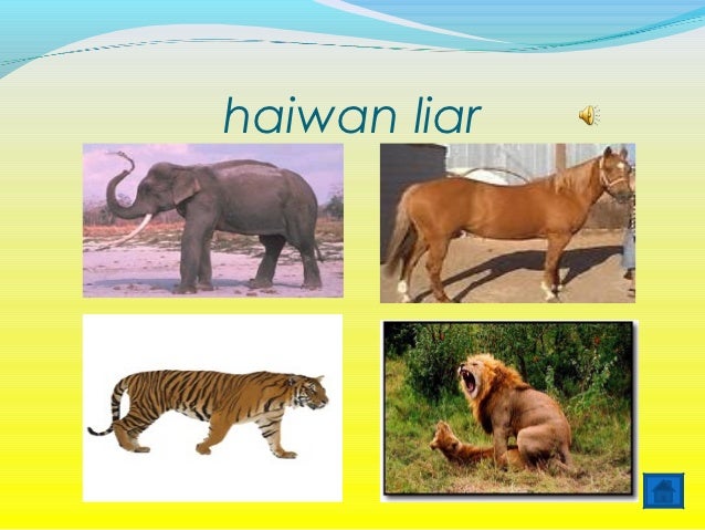 Mengenal Haiwan 1