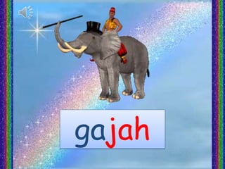 gajah
 