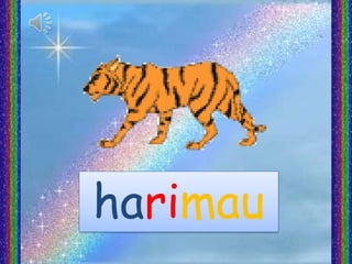 harimau
 