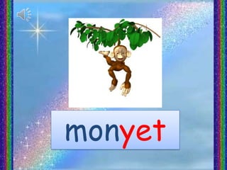 monyet
 