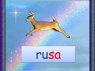 rusa
 