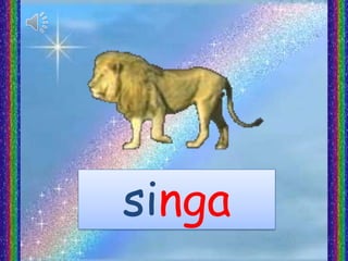 singa
 