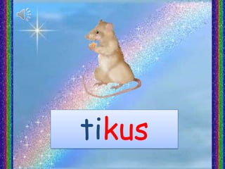 tikus
 