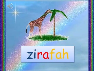 zirafah
 